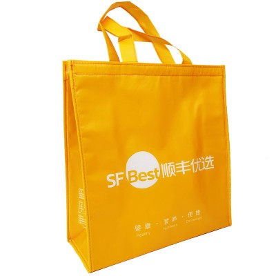 Insulted Cooler Lunch Tote Bag PP NonWoven Laminated with EPE Foam Al Foil Hook&Loop